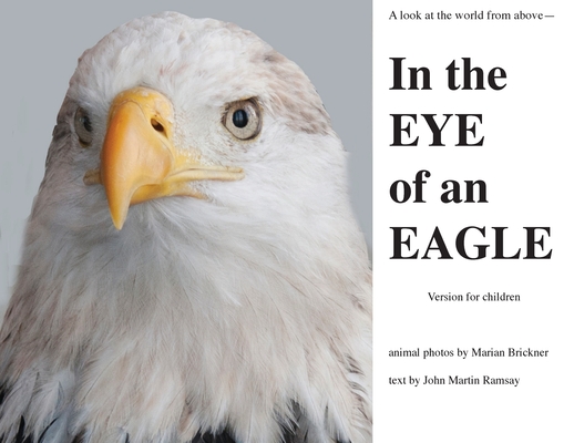 In the Eye of an Eagle: A look at the world from above. Cover Image