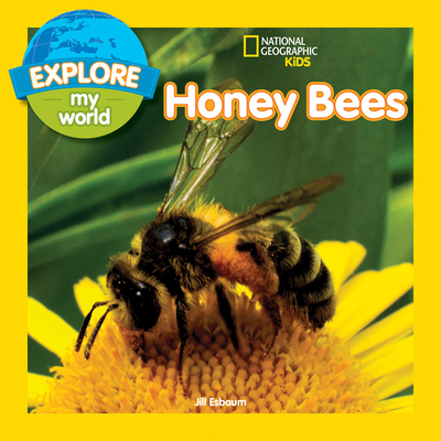 Explore My World: Honey Bees Cover Image