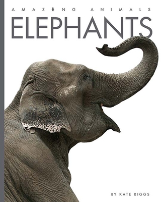 Elephants (Amazing Animals) Cover Image