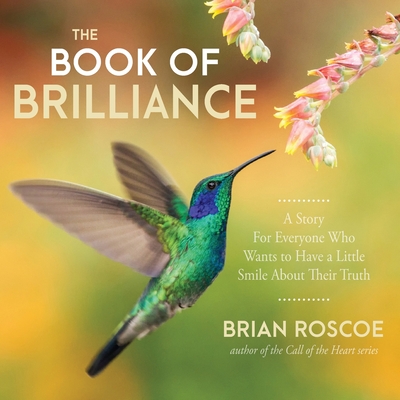 The Book of Brilliance By Brian Roscoe Cover Image