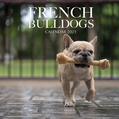 French Bulldogs Calendar 2021: 16 Month Calendar