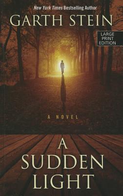 Cover for A Sudden Light