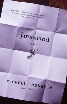 Jamesland (Vintage Contemporaries)