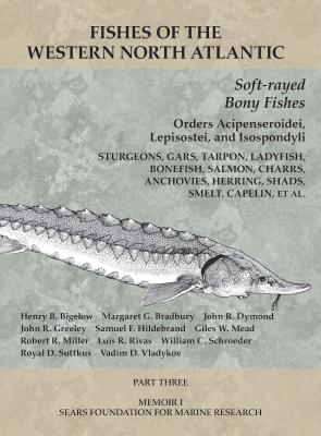 Cover for Soft-rayed Bony Fishes