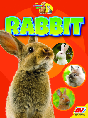 Rabbit (My Favorite Pet)