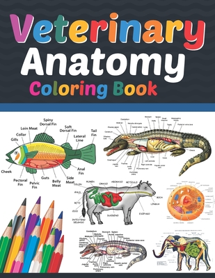 Veterinary Anatomy Coloring Book: Veterinary Anatomy Coloring & Activity Book for Kids. An Entertaining & Instructive Guide To Veterinary Anatomy. Vet Cover Image