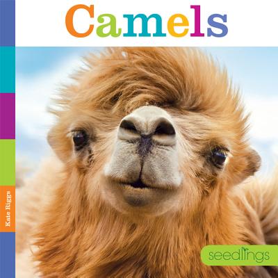 Seedlings: Camels Cover Image
