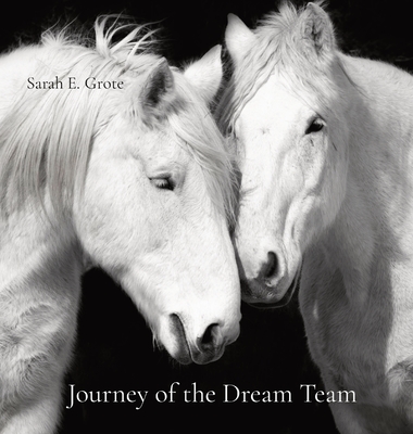 Journey of the Dream Team By Sarah E. Grote Cover Image