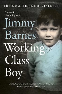 Cover for Working Class Boy