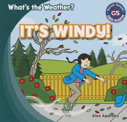 The Windy Day (Picture Books)