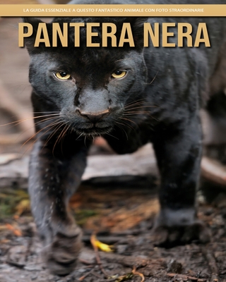 Pantera Nera: la guida essenziale a questo fantastico animale con foto straordinarie Cover Image