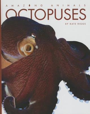 Octopuses (Amazing Animals) Cover Image
