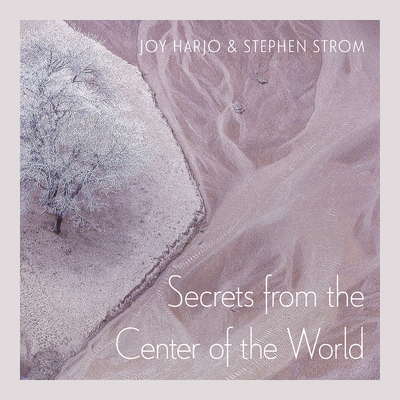 Secrets from the Center of the World (Sun Tracks  #17)