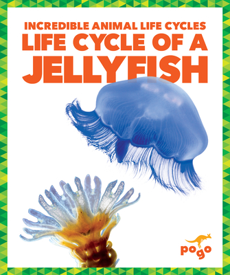 Life Cycle of a Jellyfish (Incredible Animal Life Cycles)
