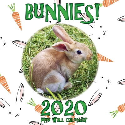 Bunnies! 2020 Mini Wall Calendar Cover Image