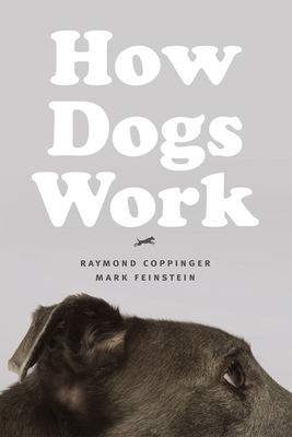 How Dogs Work By Raymond Coppinger, Mark Feinstein, Gordon M. Burghardt (Foreword by) Cover Image
