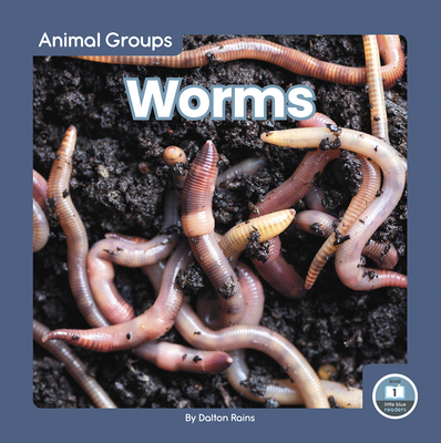 Worms By Dalton Rains Cover Image