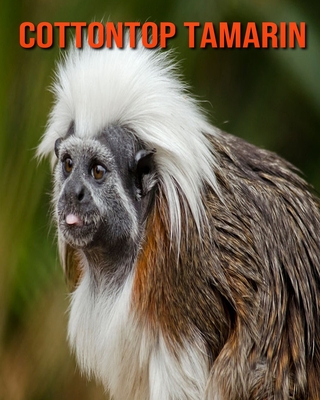 Cottontop Tamarin: Amazing Photos & Fun Facts Book About Cottontop Tamarin For Kids By Kelly Craig Cover Image