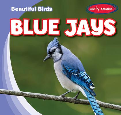 Hungry Baby Blue Jay - Steve Creek