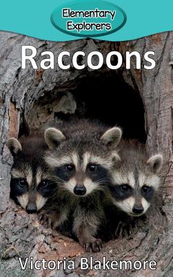 Raccoons (Elementary Explorers #16) Cover Image