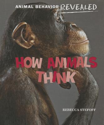 How Animals Think (Animal Behavior Revealed)