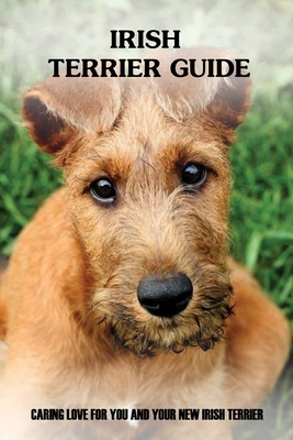 Irish sales terrier training