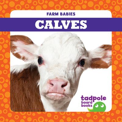 Calves (Farm Babies) By Tim Mayerling Cover Image