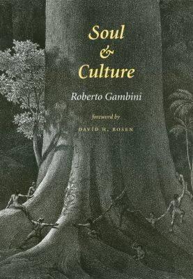 Soul and Culture (Carolyn and Ernest Fay Series in Analytical Psychology #9)