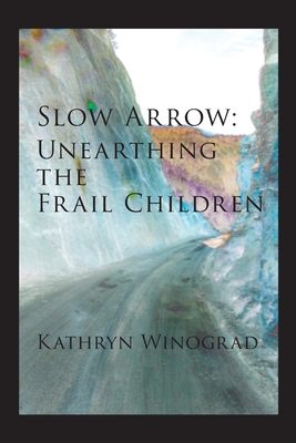 Cover for Slow Arrow
