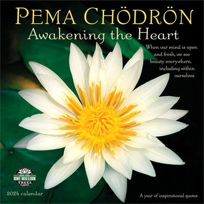Pema Chödrön 2024 Wall Calendar: Awakening the Heart - A Year of Inspirational Quotes By Amber Lotus Publishing (Created by) Cover Image