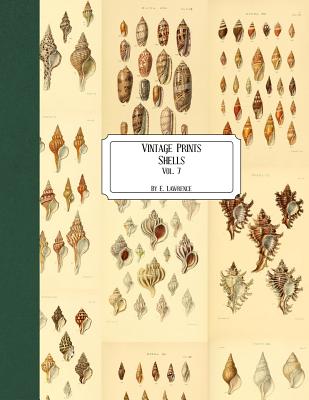 Vintage Prints: Shells: Vol. 7
