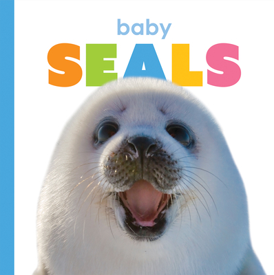 Baby Seals (Starting Out)