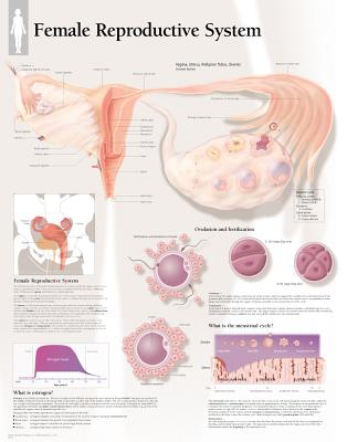 Understanding Nutrition Chart: Laminated Wall Chart Cover Image