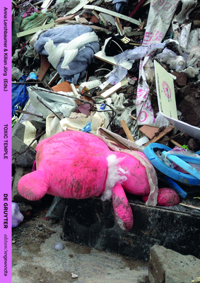 Toxic Temple: An Artistic and Philosophical Adventure Into the Toxicity of the Now (Edition Angewandte) Cover Image