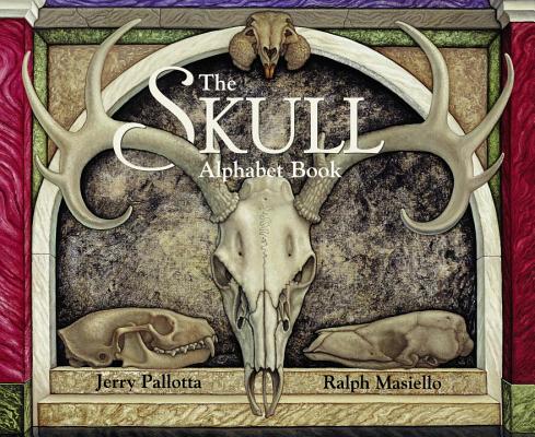 The Skull Alphabet Book Cover