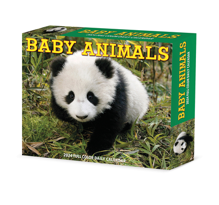 Baby Animals 2024 6.2 X 5.4 Box Calendar By Willow Creek Press Cover Image