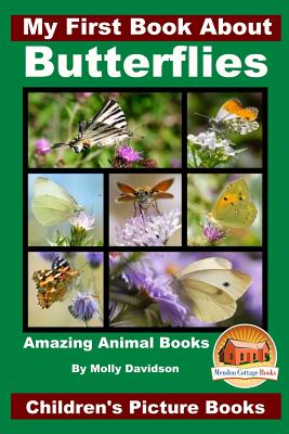 My First Book About Butterflies Cover Image