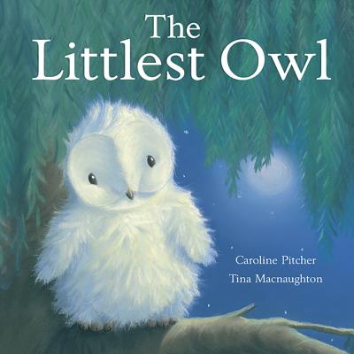 The Littlest Owl Cover