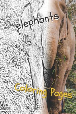 Elephant Coloring Pages: Beautiful Coloring Pages with Animal for Adults and for Kids