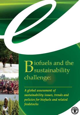 Biofuels and the Sustainability Challenge: A Global Assessment of Sustainability Issues, Trends and Policies for Biofuels and Related Feedstocks By Food and Agriculture Organization (Fao) (Editor) Cover Image