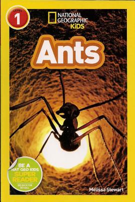 Ants (1 Paperback/1 CD) (National Geographic Readers: Pre-Reader) By Melissa Stewart, Nancy Wu (Read by) Cover Image