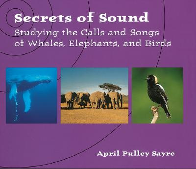 Secrets of Sound Cover
