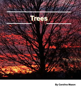 Trees 20x25 By Carolina Mazon Cover Image