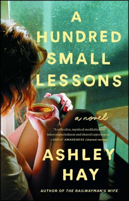 Cover Image for A Hundred Small Lessons: A Novel