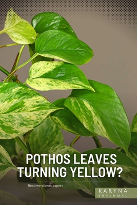 Pothos Leaves Turning Yellow?: Become plants expert By Karyna Krakhmal Cover Image