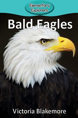 Bald Eagles (Elementary Explorers #17) Cover Image