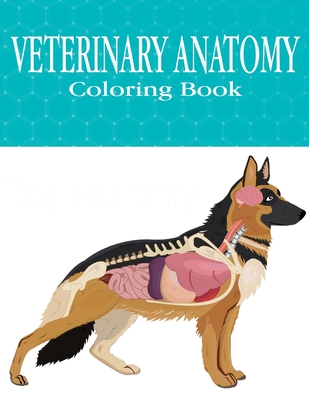 Veterinary Anatomy Coloring Book: 37+ Incredibly Highly Detailed Pictures  Of Animals To Help You Make Your Studies Easier, More Fun And  Stress-Relievi (Paperback) | Bright Side Bookshop