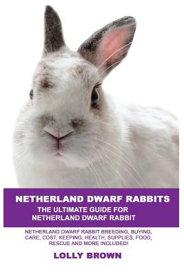 Netherland dwarf sale cost