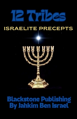 12 Tribes: Israelite Precepts Cover Image