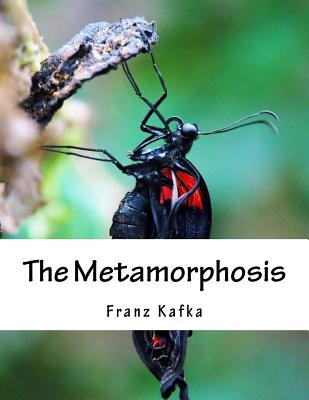 The Metamorphosis